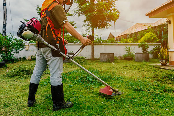 Grass Cutting