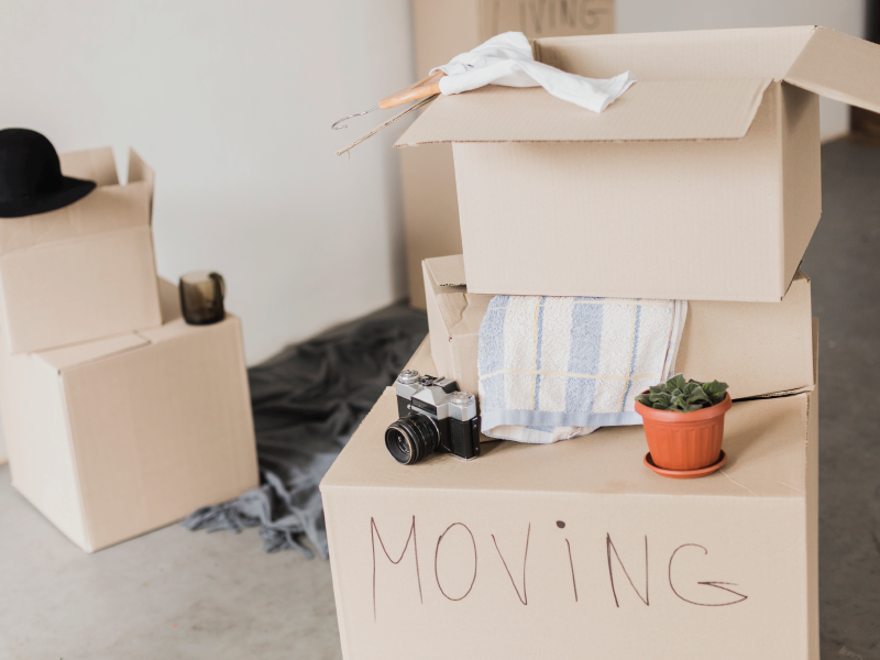 Move-In/Out Cleaning